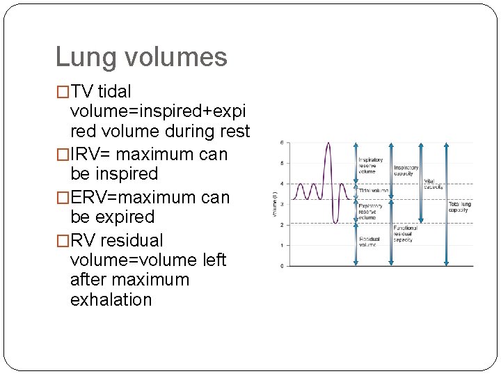 Lung volumes �TV tidal volume=inspired+expi red volume during rest �IRV= maximum can be inspired