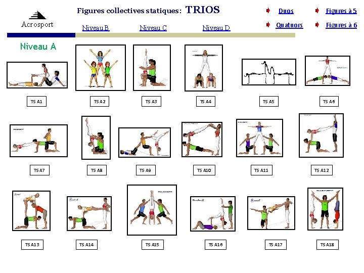 Figures collectives statiques: Acrosport Niveau B Niveau C TRIOS Duos Quatuors Niveau D Figures