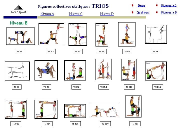 Figures collectives statiques: Acrosport Niveau A Niveau C Duos TRIOS Figures à 5 Quatuors