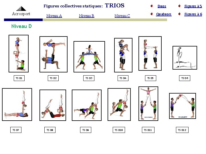 Figures collectives statiques: Acrosport Niveau A Niveau B TRIOS Duos Quatuors Niveau C Figures