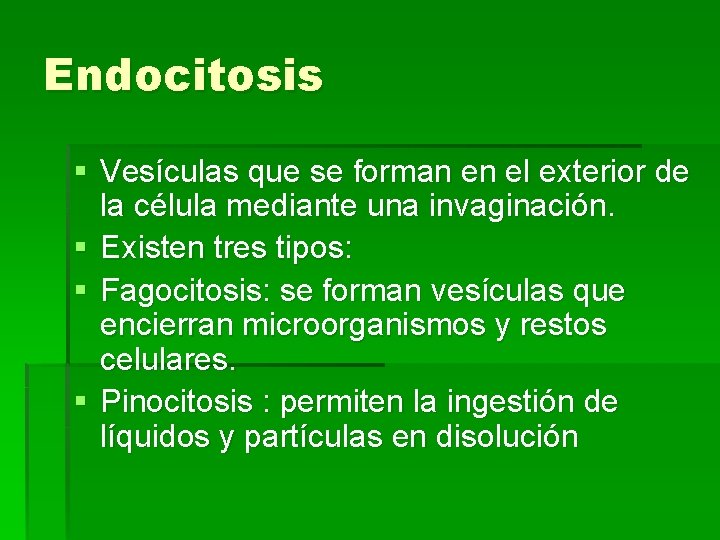 Endocitosis § Vesículas que se forman en el exterior de la célula mediante una