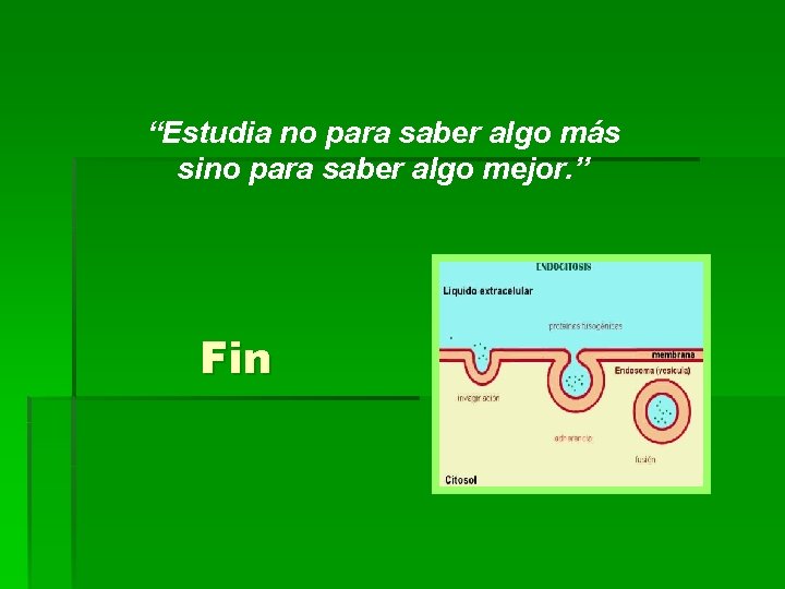 “Estudia no para saber algo más sino para saber algo mejor. ” Fin 