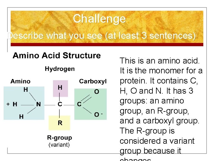 Challenge: Describe what you see (at least 3 sentences) This is an amino acid.