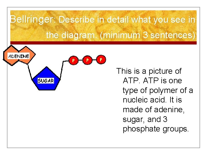 Bellringer: Describe in detail what you see in the diagram. (minimum 3 sentences) This