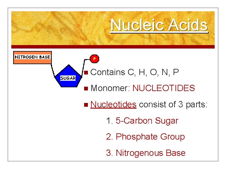 Nucleic Acids n Contains C, H, O, N, P n Monomer: NUCLEOTIDES n Nucleotides