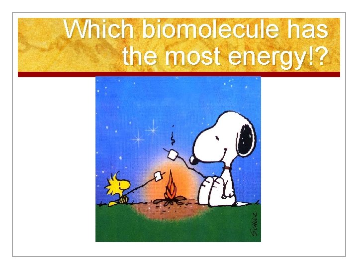 Which biomolecule has the most energy!? 