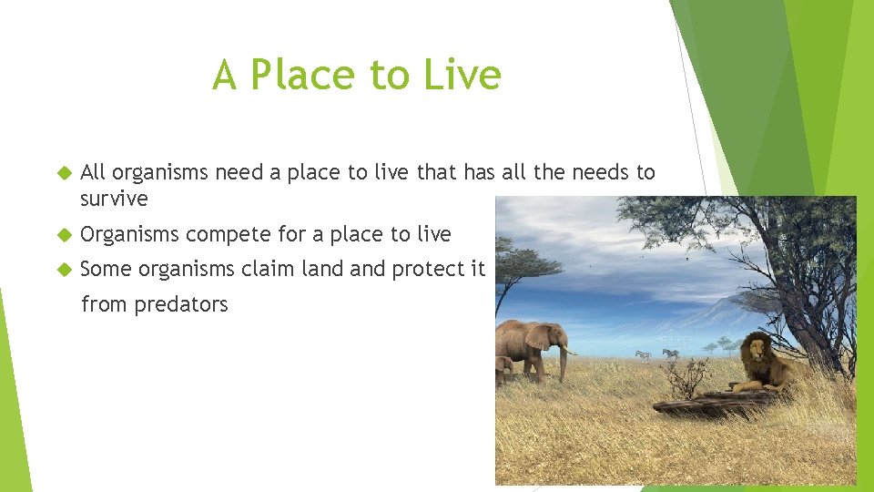 A Place to Live All organisms need a place to live that has all