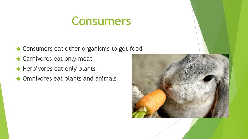 Consumers eat other organisms to get food Carnivores eat only meat Herbivores eat only