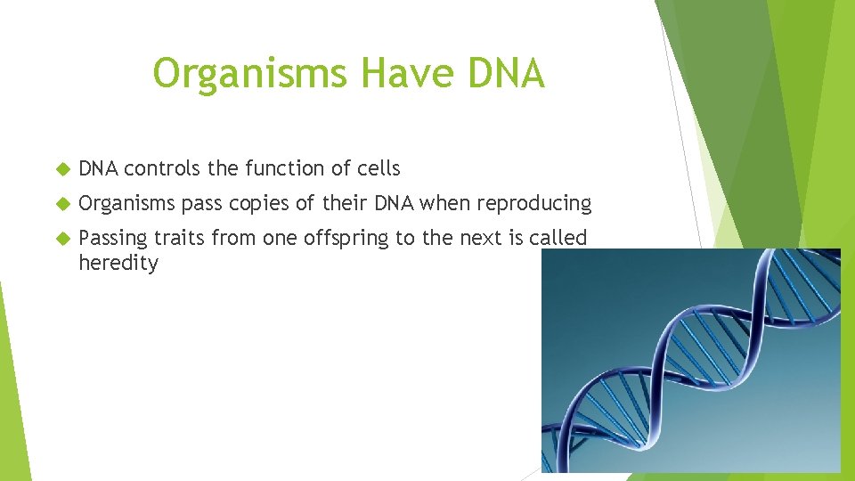 Organisms Have DNA controls the function of cells Organisms pass copies of their DNA