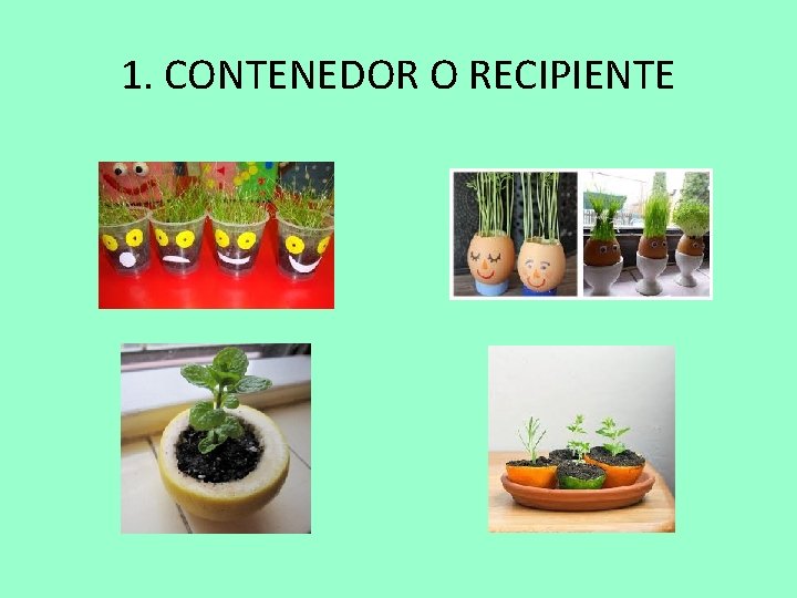 1. CONTENEDOR O RECIPIENTE 