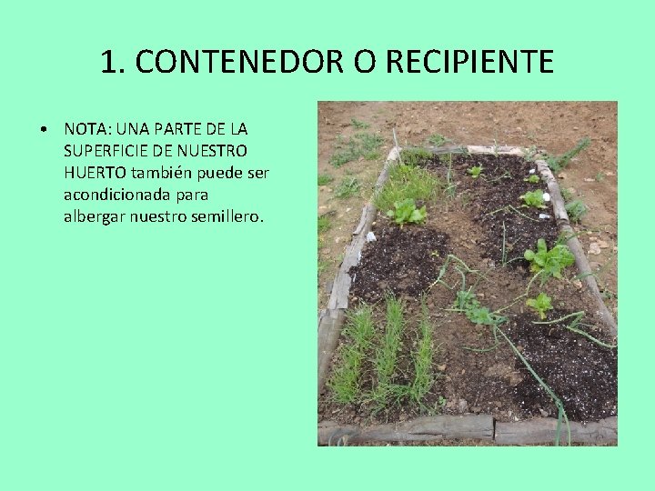 1. CONTENEDOR O RECIPIENTE • NOTA: UNA PARTE DE LA SUPERFICIE DE NUESTRO HUERTO