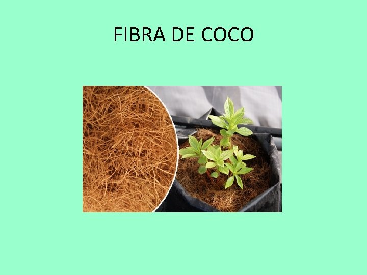 FIBRA DE COCO 