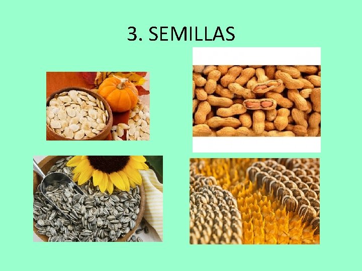 3. SEMILLAS 