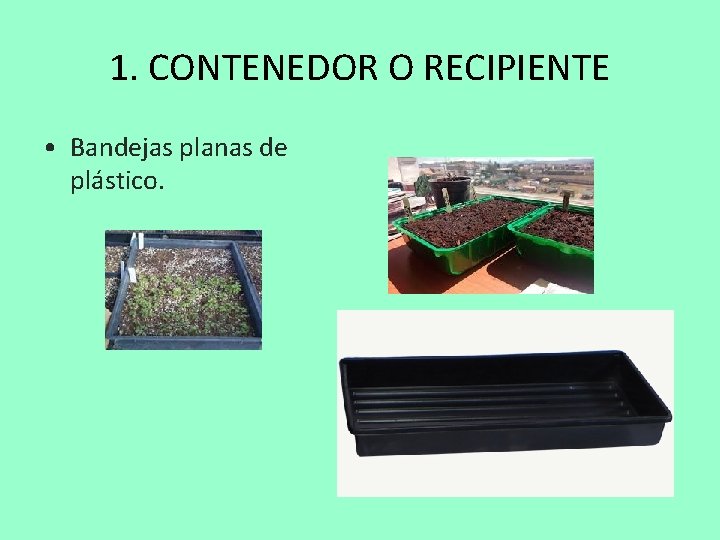 1. CONTENEDOR O RECIPIENTE • Bandejas planas de plástico. 