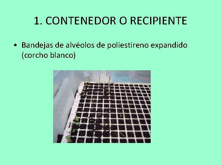 1. CONTENEDOR O RECIPIENTE • Bandejas de alvéolos de poliestireno expandido (corcho blanco) 
