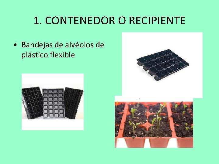 1. CONTENEDOR O RECIPIENTE • Bandejas de alvéolos de plástico flexible 