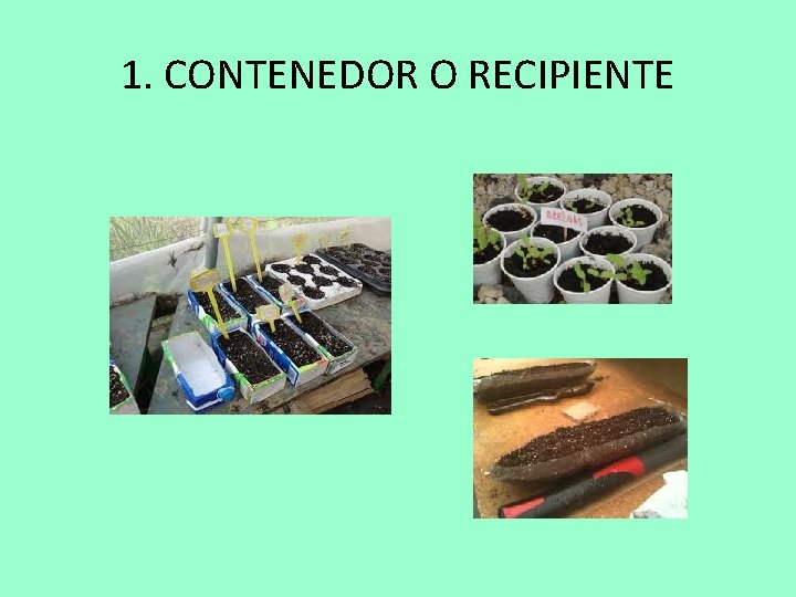 1. CONTENEDOR O RECIPIENTE 