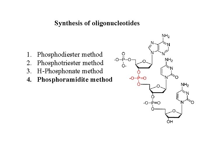 Synthesis of oligonucleotides 1. 2. 3. 4. Phosphodiester method Phosphotriester method H-Phosphonate method Phosphoramidite