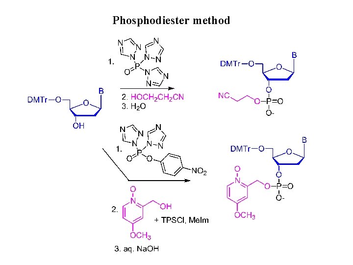 Phosphodiester method 