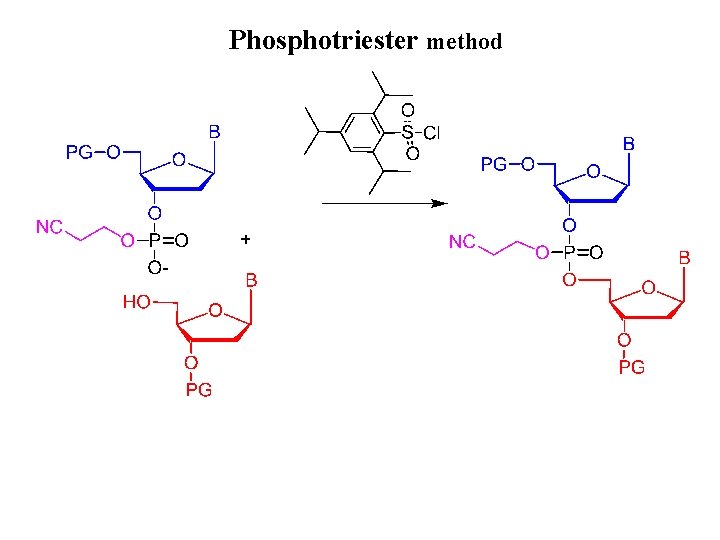 Phosphotriester method 