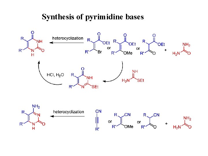 Synthesis of pyrimidine bases 