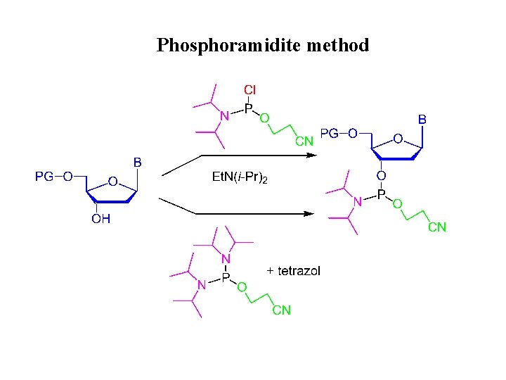 Phosphoramidite method 