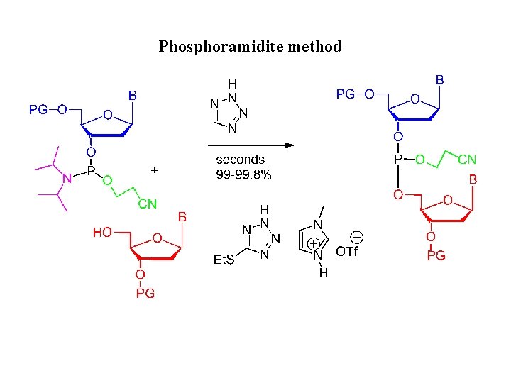 Phosphoramidite method 