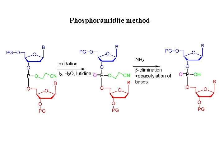 Phosphoramidite method 