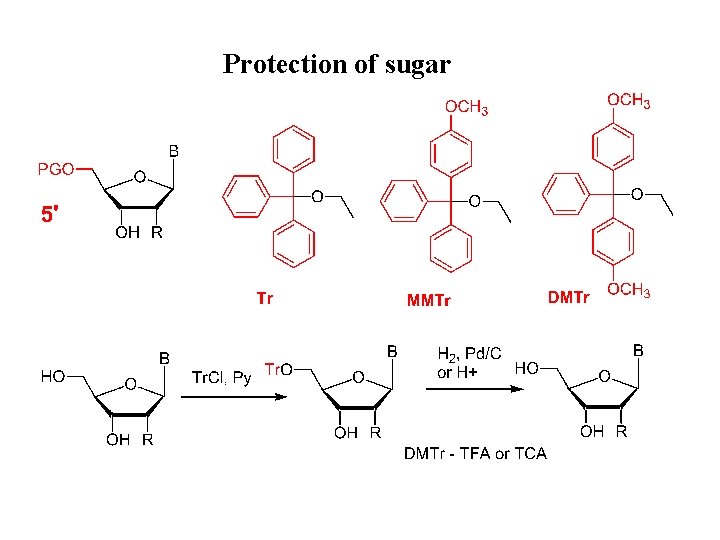 Protection of sugar 