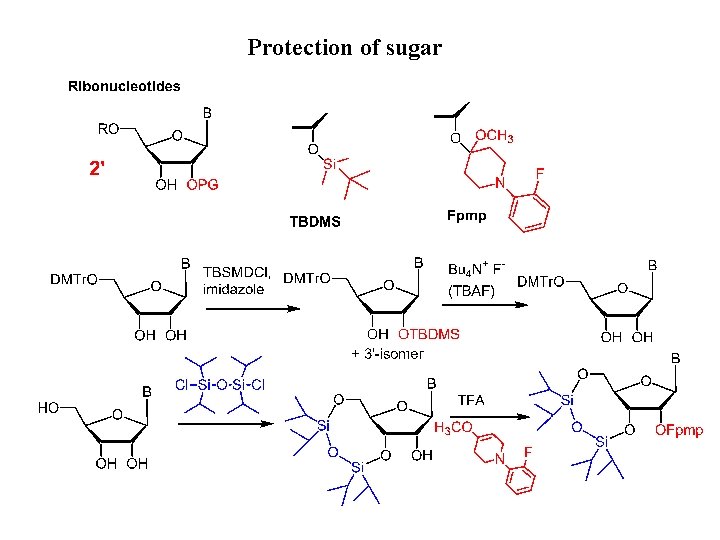 Protection of sugar 