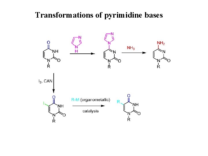 Transformations of pyrimidine bases 