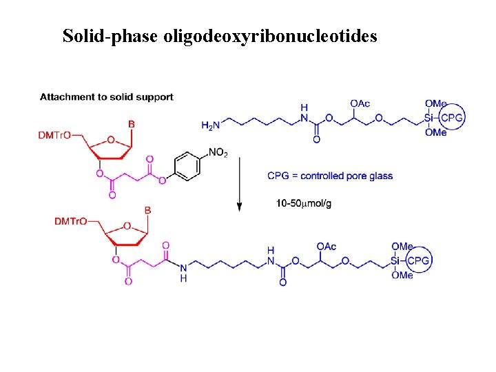 Solid-phase oligodeoxyribonucleotides 