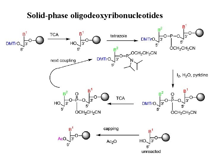 Solid-phase oligodeoxyribonucleotides 
