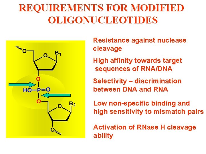 REQUIREMENTS FOR MODIFIED OLIGONUCLEOTIDES Resistance against nuclease cleavage High affinity towards target sequences of