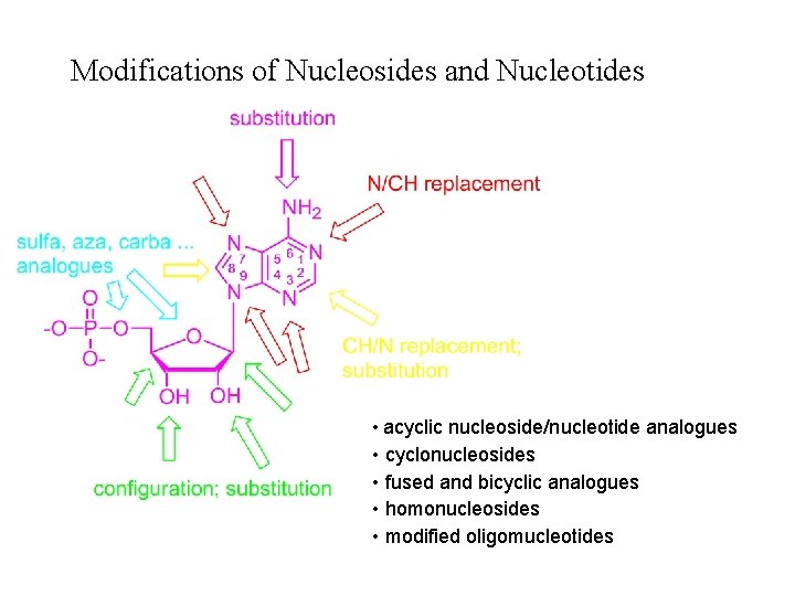 Modifications of Nucleosides and Nucleotides • acyclic nucleoside/nucleotide analogues • cyclonucleosides • fused and