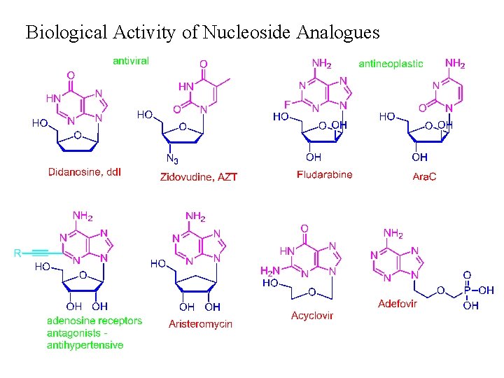 Biological Activity of Nucleoside Analogues 