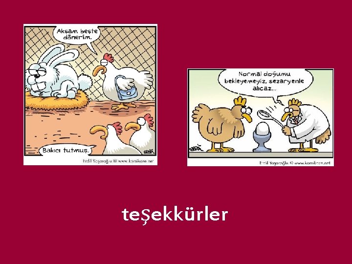 teşekkürler 