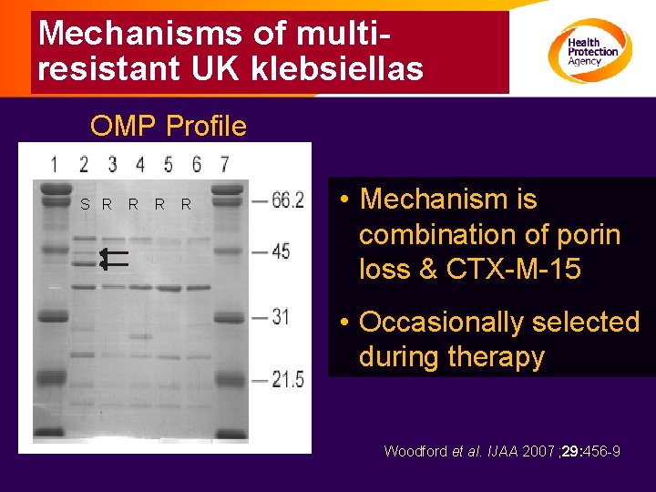 Mechanisms of multiresistant UK klebsiellas OMP Profile S R R • Mechanism is combination