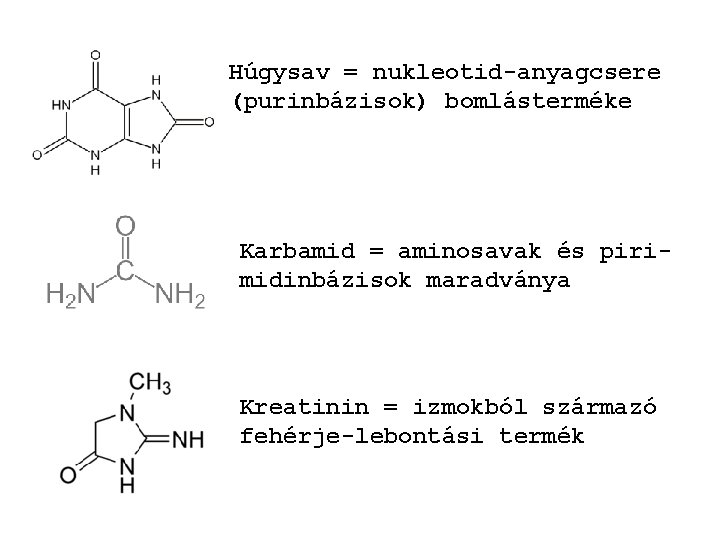 Húgysav = nukleotid-anyagcsere (purinbázisok) bomlásterméke Karbamid = aminosavak és pirimidinbázisok maradványa Kreatinin = izmokból