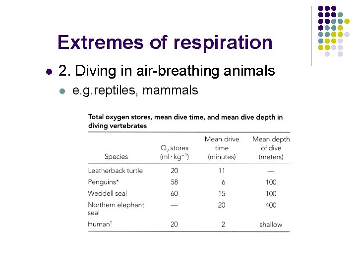 Extremes of respiration l 2. Diving in air-breathing animals l e. g. reptiles, mammals