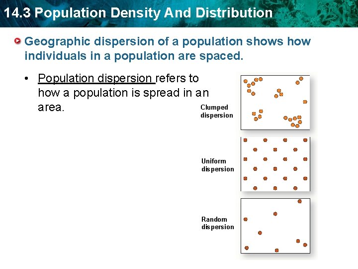 14. 3 Population Density And Distribution Geographic dispersion of a population shows how individuals