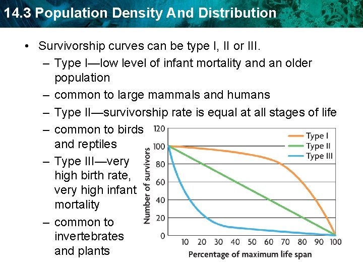 14. 3 Population Density And Distribution • Survivorship curves can be type I, II