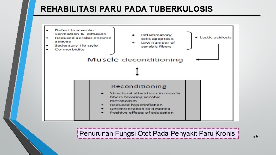 REHABILITASI PARU PADA TUBERKULOSIS Penurunan Fungsi Otot Pada Penyakit Paru Kronis 16 