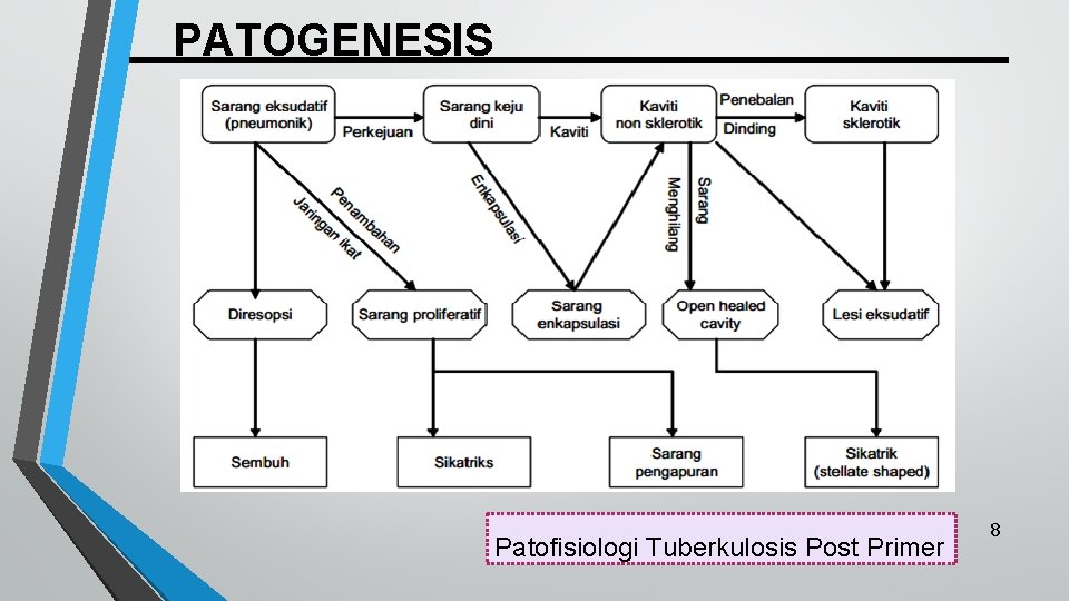 PATOGENESIS Patofisiologi Tuberkulosis Post Primer 8 
