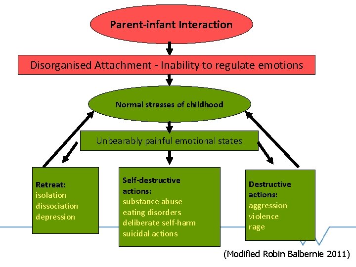 Parent-infant Interaction Disorganised Attachment - Inability to regulate emotions Normal stresses of childhood Unbearably