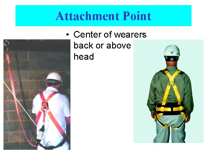 Attachment Point • Center of wearers back or above head 