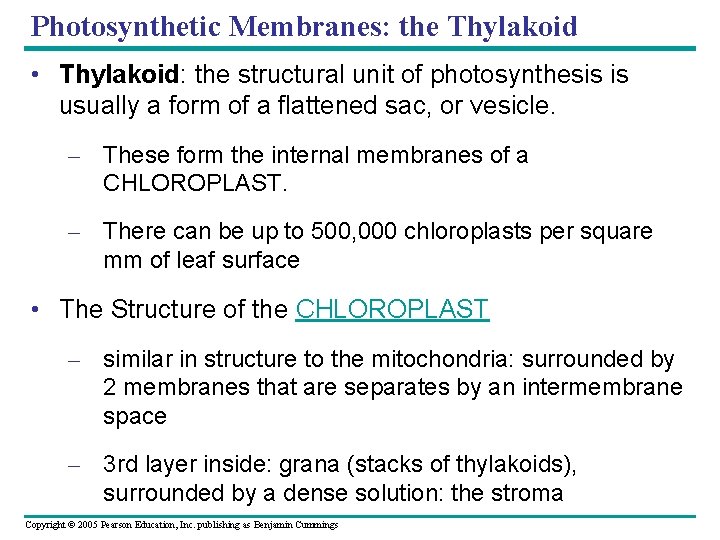 Photosynthetic Membranes: the Thylakoid • Thylakoid: the structural unit of photosynthesis is usually a