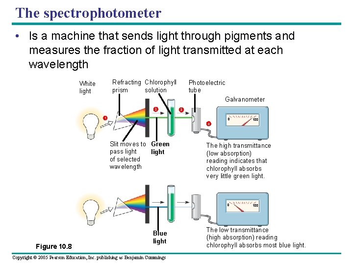 The spectrophotometer • Is a machine that sends light through pigments and measures the