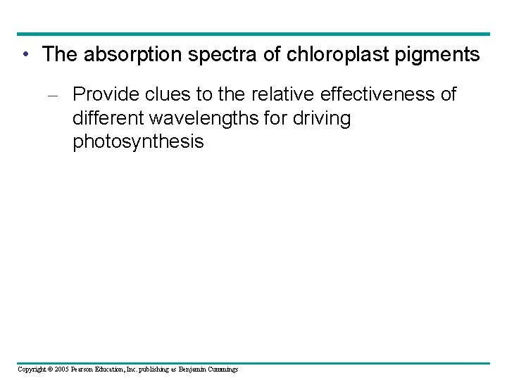  • The absorption spectra of chloroplast pigments – Provide clues to the relative