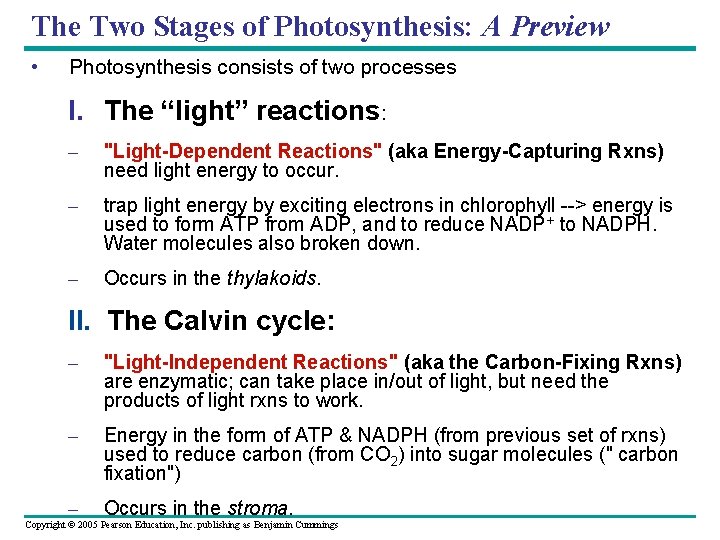 The Two Stages of Photosynthesis: A Preview • Photosynthesis consists of two processes I.